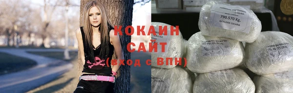 дживик Богородск