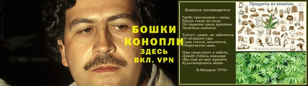дживик Богородск