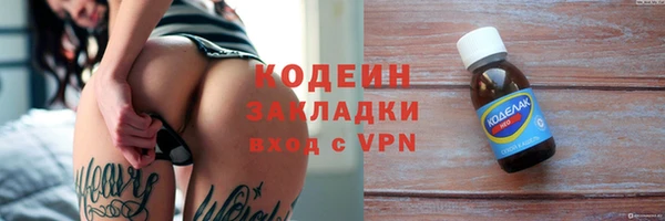 дживик Богородск