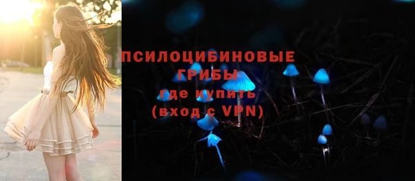 дживик Богородск