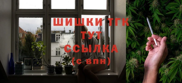 дживик Богородск