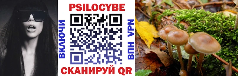 Псилоцибиновые грибы прущие грибы  Михайлов 